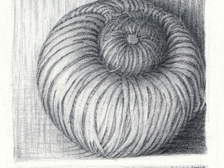Drawing of three differently textured round balls